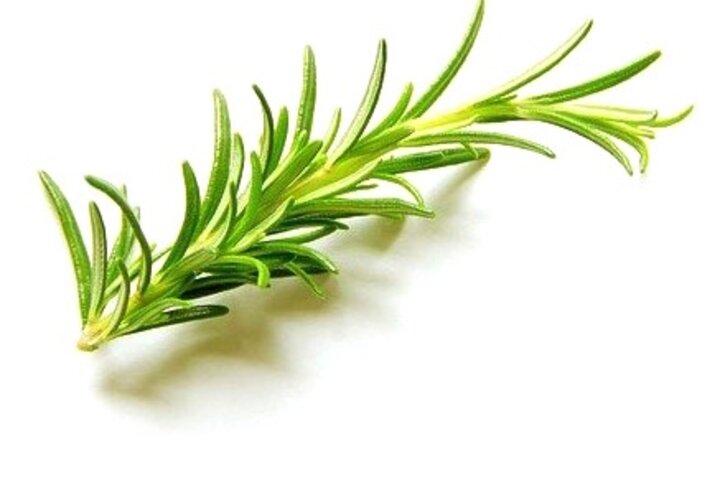 rosemary-1661525_1920.jpg